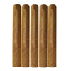 Daytona Edition Cigars Corona gorda Connecticut 6 3/4X 64 Pack of 5 cigars