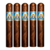 Foundation El Gueguense Toro 6X56 Pack of 5 Cigars