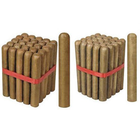 2 Bundles Daytona Edition Specials