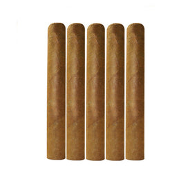 Daytona Edition Cigars Robusto Connecticut 5x52 pack of 5 cigars