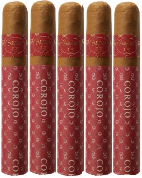 Asylum 13 Authentic Corojo 5 Pack