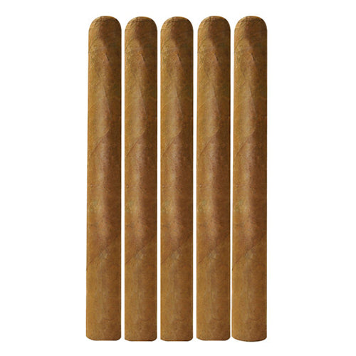 Daytona Edition Cigars Churchill Connecticut 7x52 Pack of 5 cigars