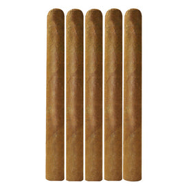 Daytona Edition Cigars Churchill Connecticut 7x52 Pack of 5 cigars