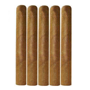 Daytona Edition Cigars Corona gorda Connecticut 6 3/4X 64 Pack of 5 cigars