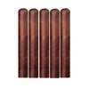 Daytona Edition Cigars Toro maduro 6 X 52 Pack of 5 cigars