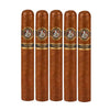 Gurkha Nicaragua Series robusto 5x52 Pack of 5 cigars