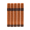 JAVA LATTE ROBUSTO 51/2x50 Pack of 5 cigars