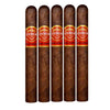 Punch Rare Corojo Elite 5 1/4x45 Pack of 5 cigars